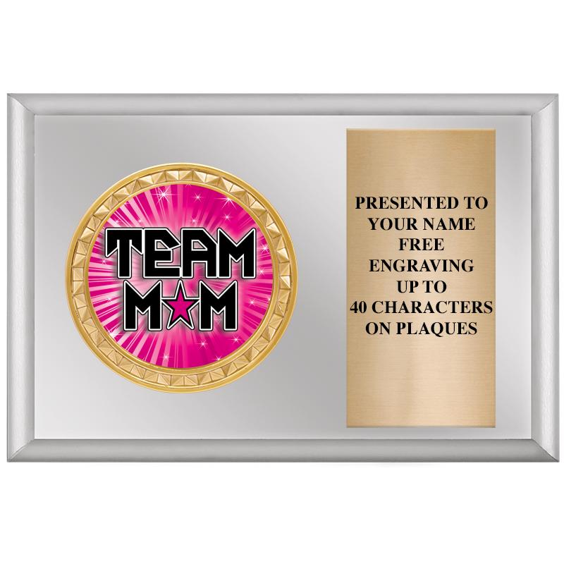 6" X 4" SILVER INSERT PLQ