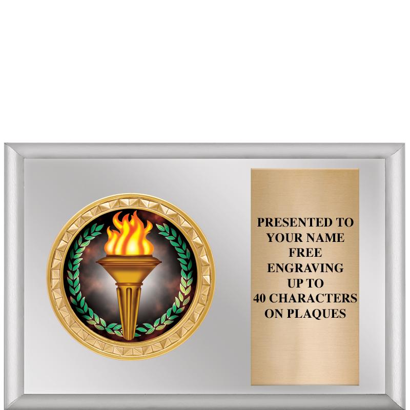 6" X 4" SILVER INSERT PLQ