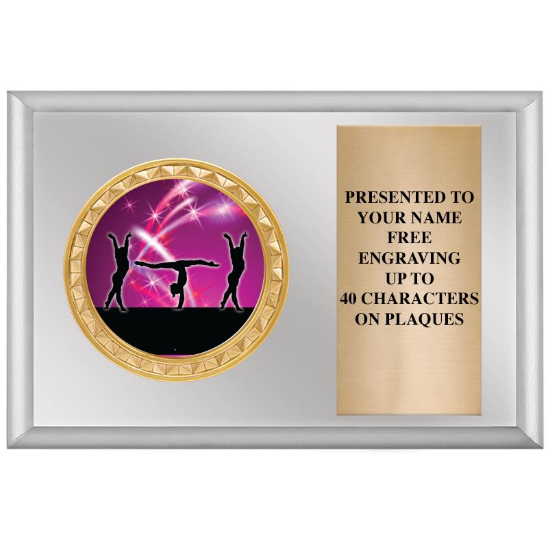 6" X 4" SILVER INSERT PLQ