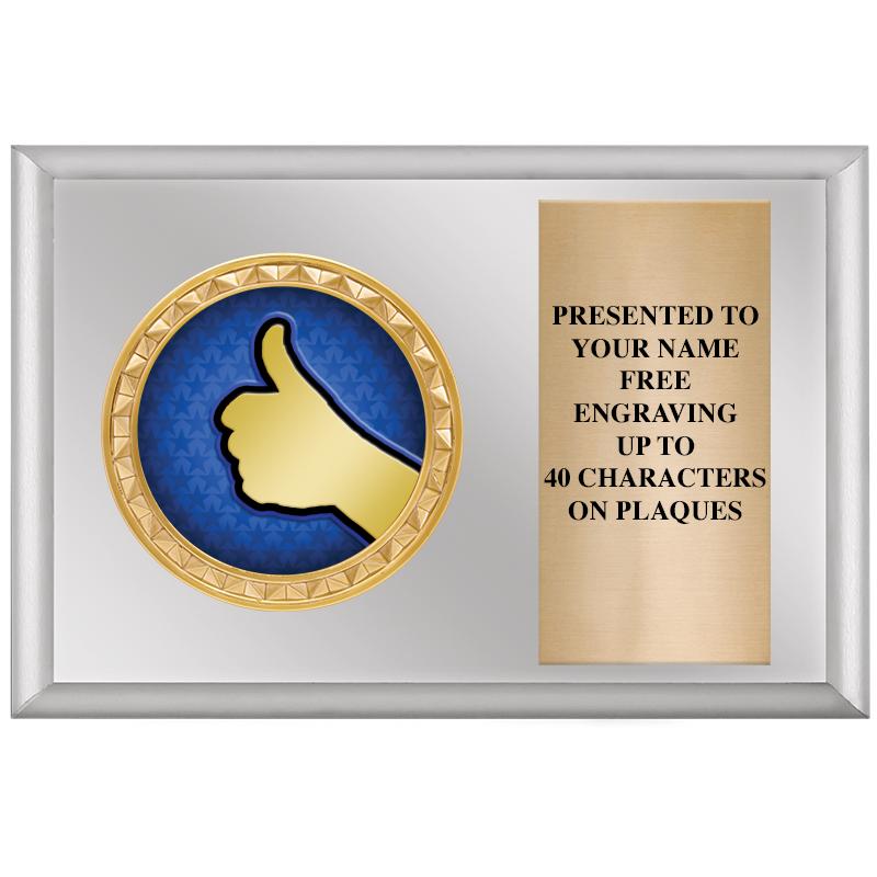 6" X 4" SILVER INSERT PLQ