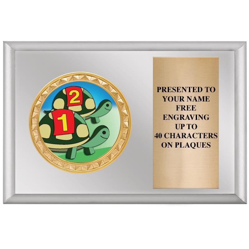 6" X 4" SILVER INSERT PLQ