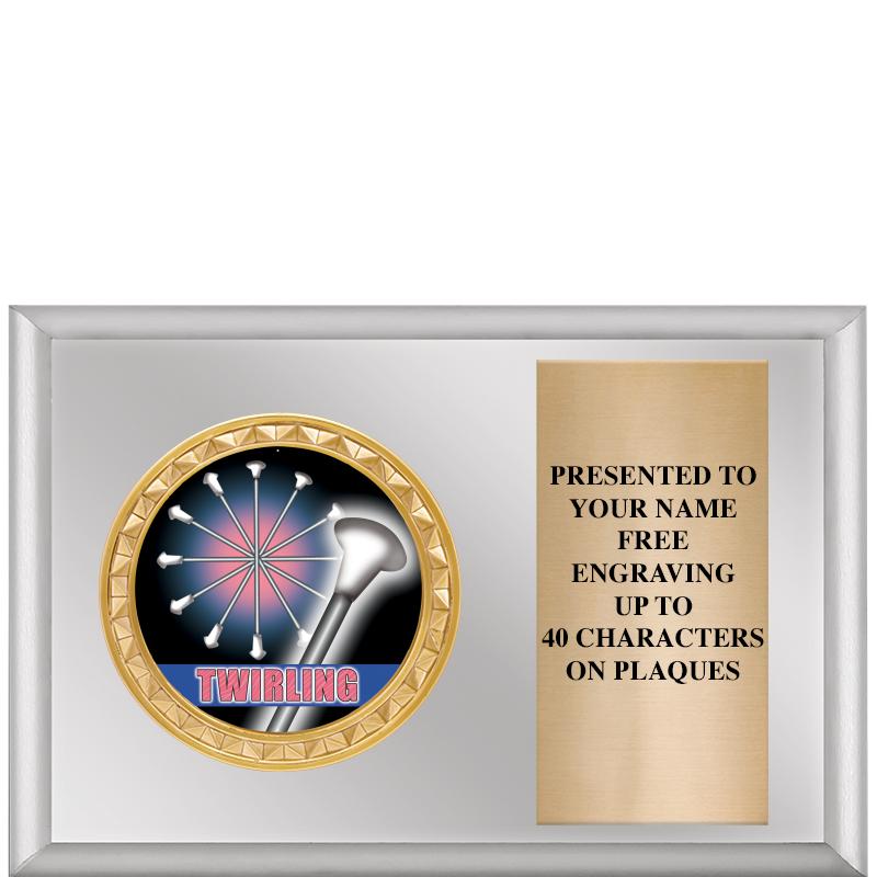 6" X 4" SILVER INSERT PLQ