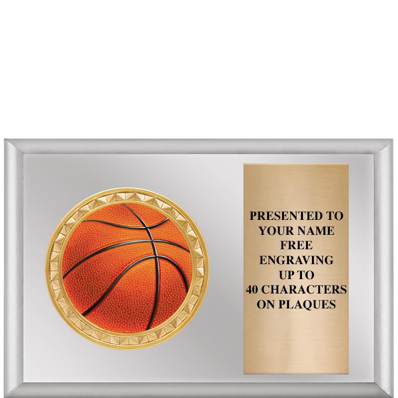 6" X 4" SILVER INSERT PLQ