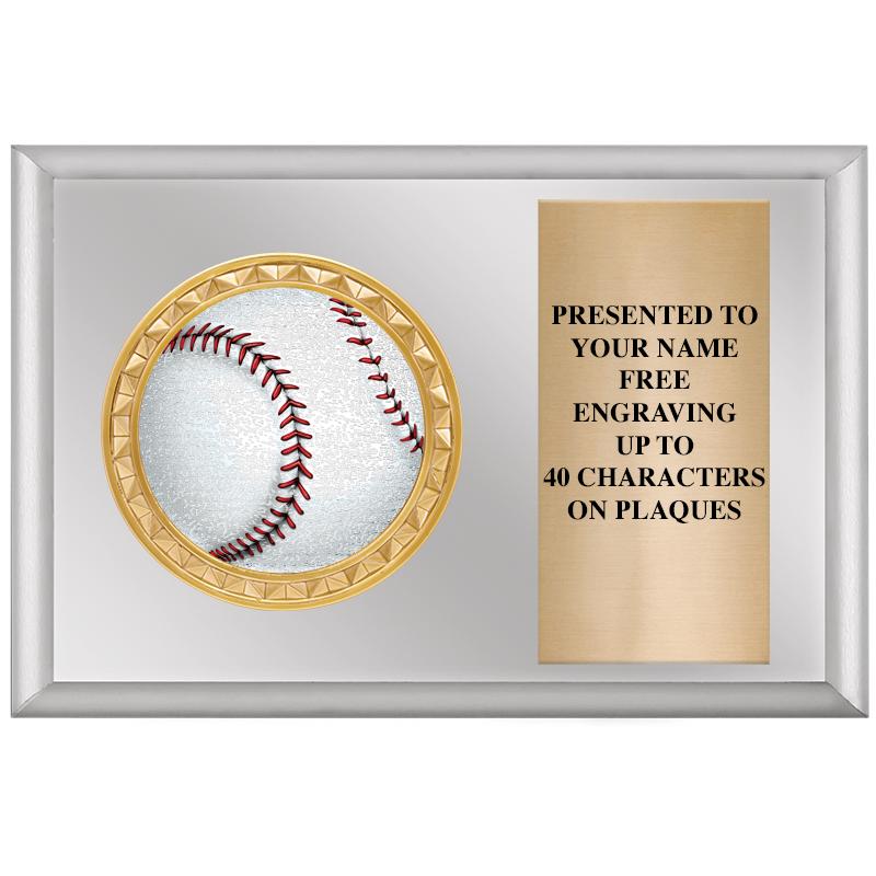 6" X 4" SILVER INSERT PLQ