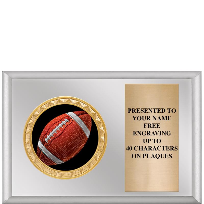 6" X 4" SILVER INSERT PLQ