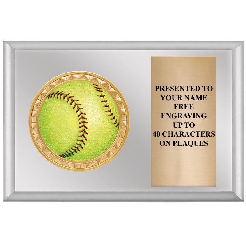 6" X 4" SILVER INSERT PLQ