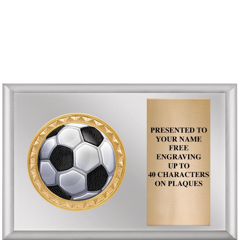 6" X 4" SILVER INSERT PLQ