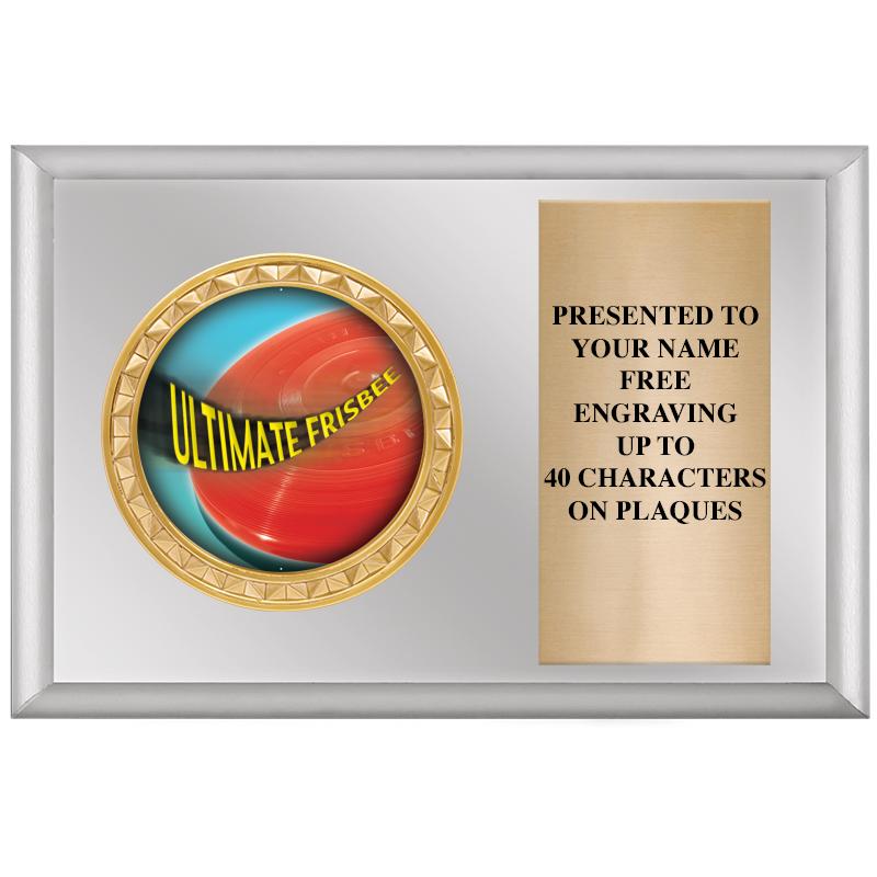 6" X 4" SILVER INSERT PLQ