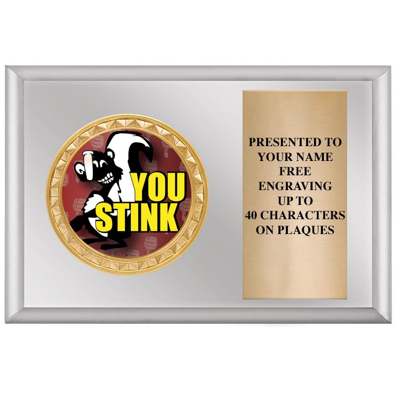 6" X 4" SILVER INSERT PLQ