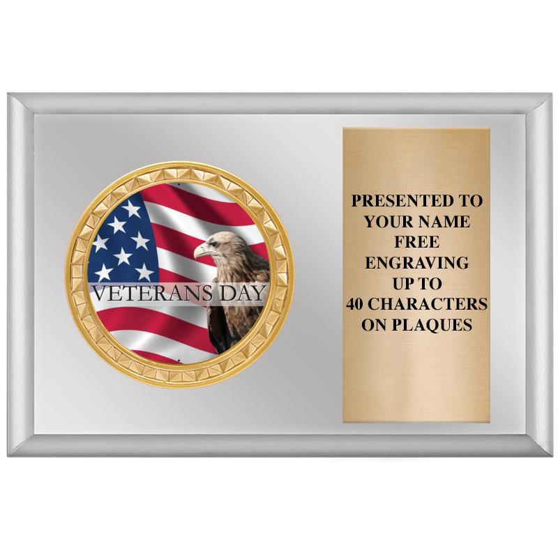 6" X 4" SILVER INSERT PLQ