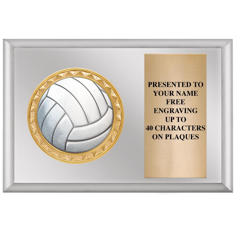 6" X 4" SILVER INSERT PLQ