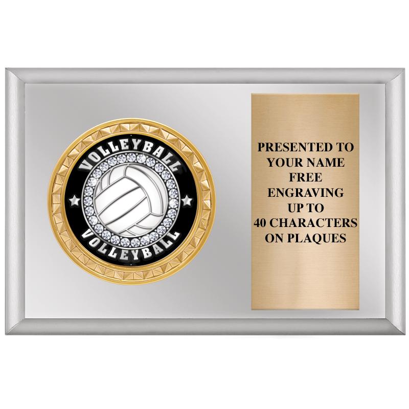 6" X 4" SILVER INSERT PLQ