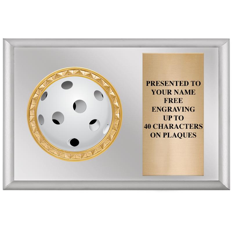 6" X 4" SILVER INSERT PLQ