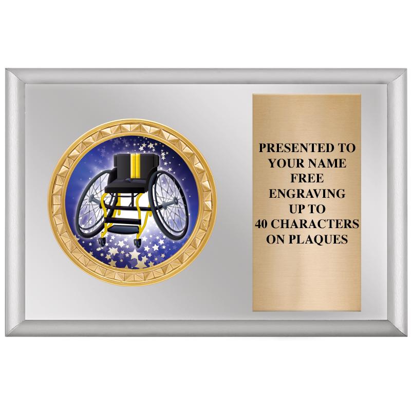 6" X 4" SILVER INSERT PLQ