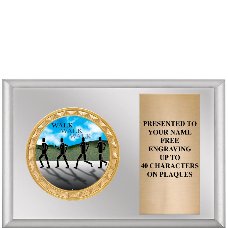 6" X 4" SILVER INSERT PLQ