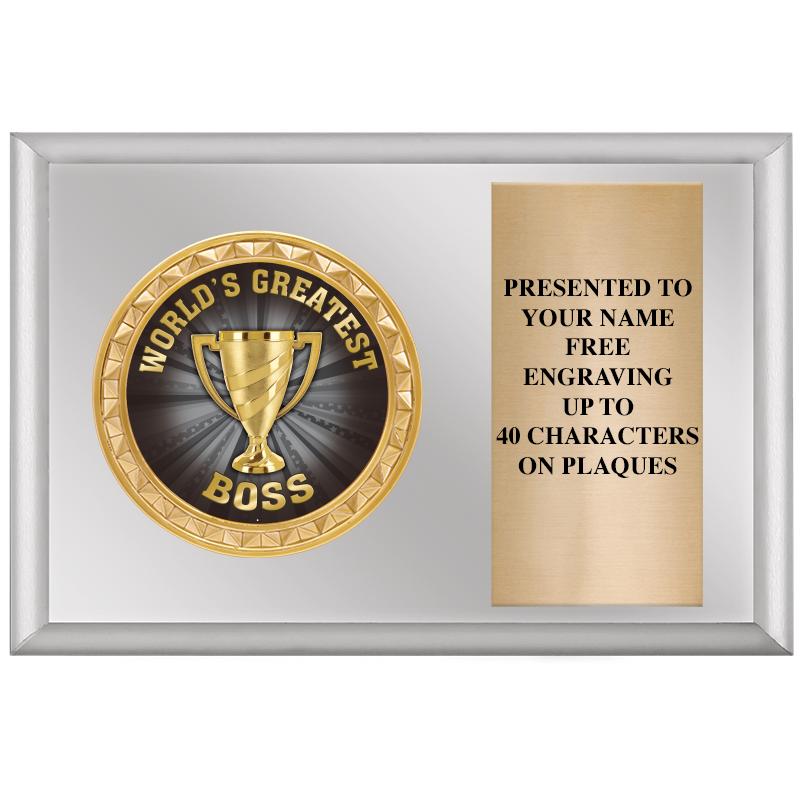 6" X 4" SILVER INSERT PLQ