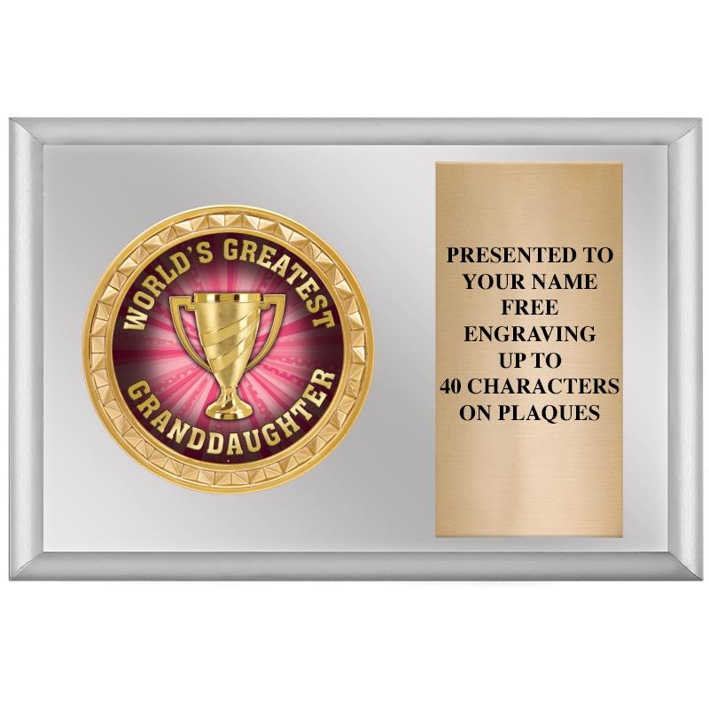 6" X 4" SILVER INSERT PLQ