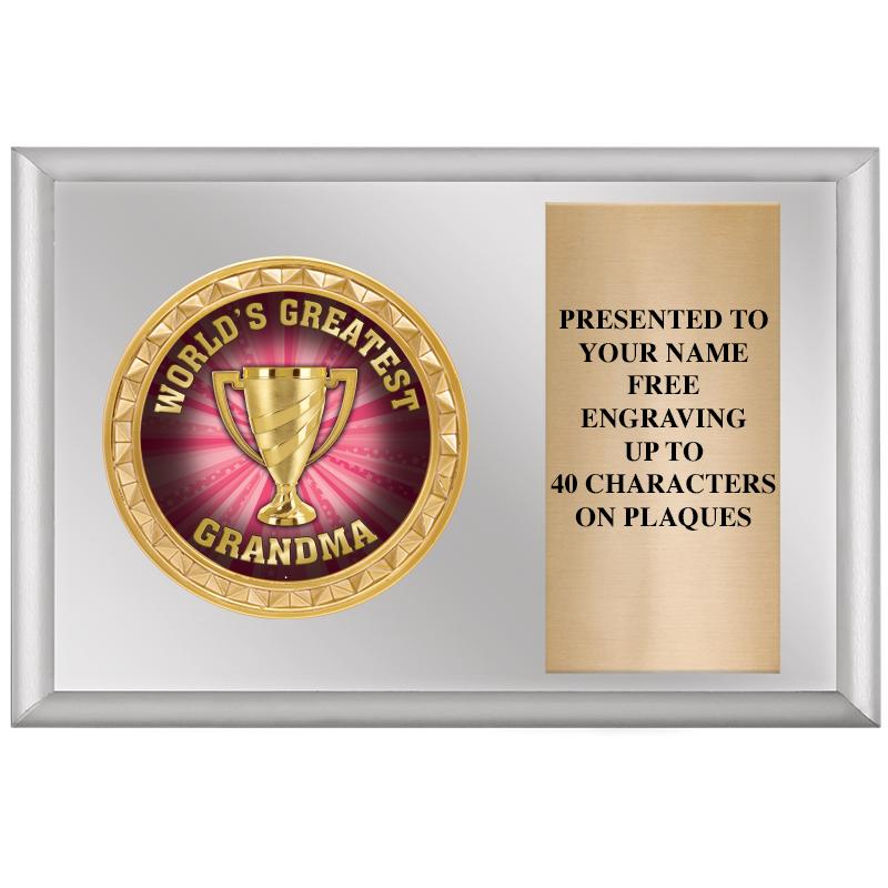 6" X 4" SILVER INSERT PLQ