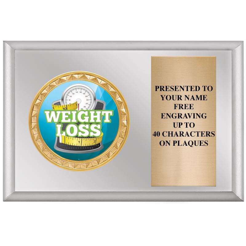 6" X 4" SILVER INSERT PLQ