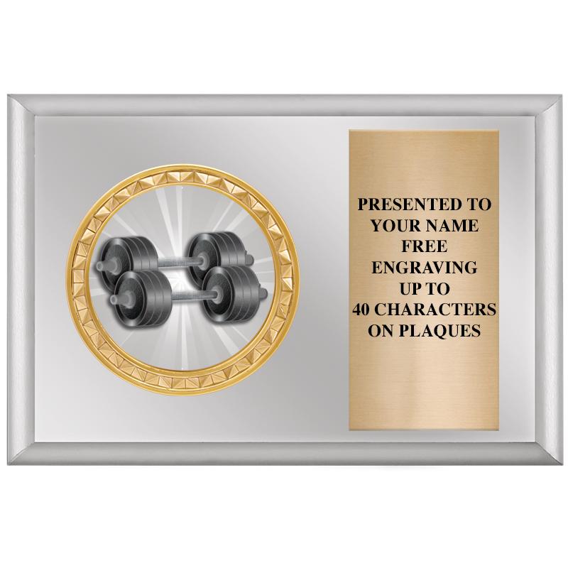 6" X 4" SILVER INSERT PLQ