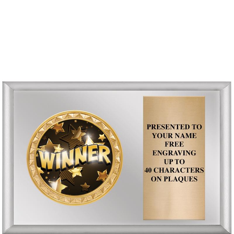 6" X 4" SILVER INSERT PLQ