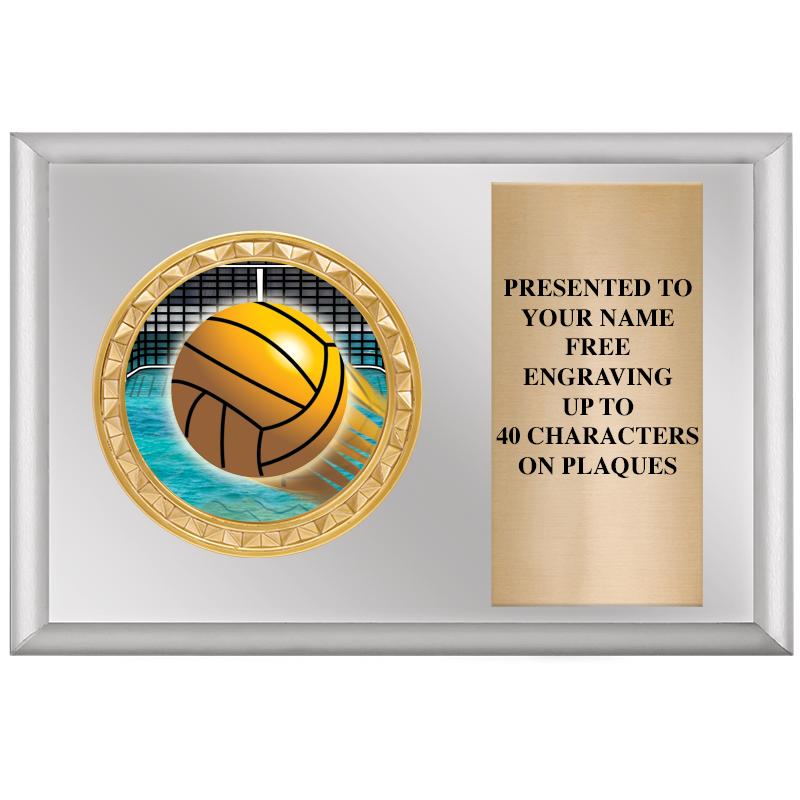 6" X 4" SILVER INSERT PLQ