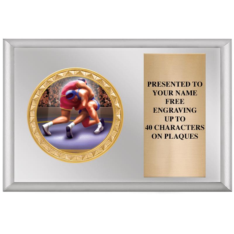 6" X 4" SILVER INSERT PLQ