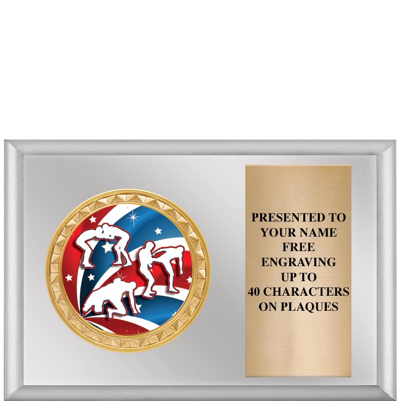 6" X 4" SILVER INSERT PLQ