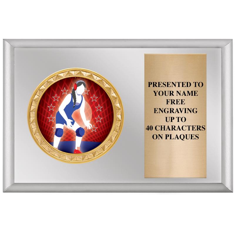 6" X 4" SILVER INSERT PLQ