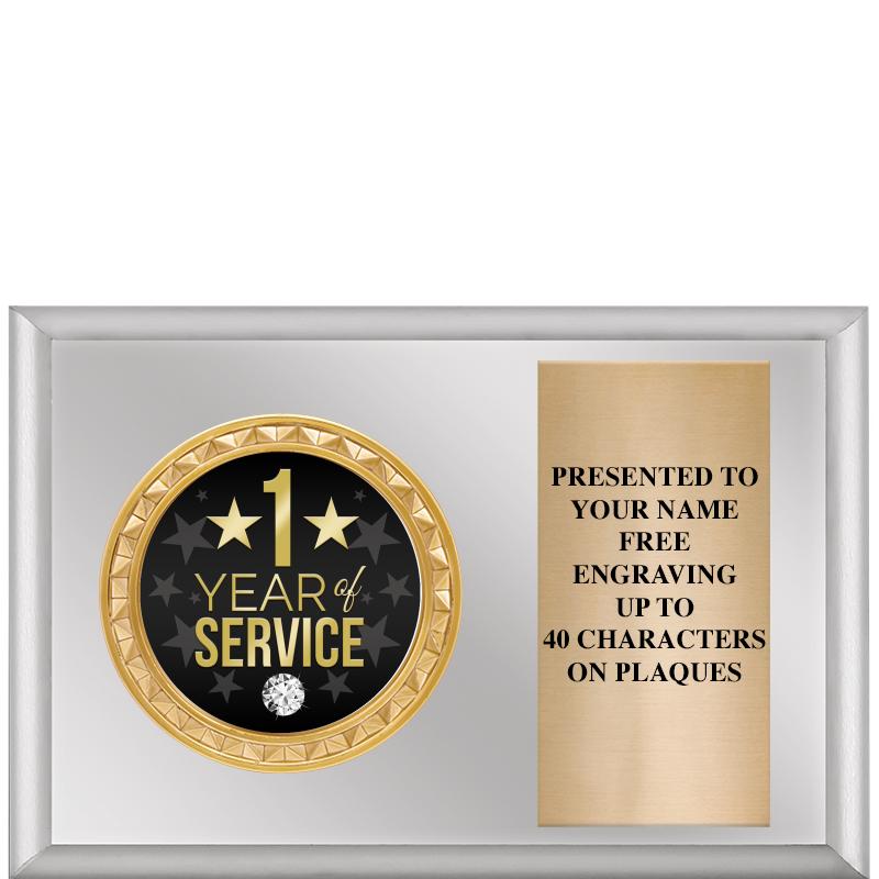 6" X 4" SILVER INSERT PLQ