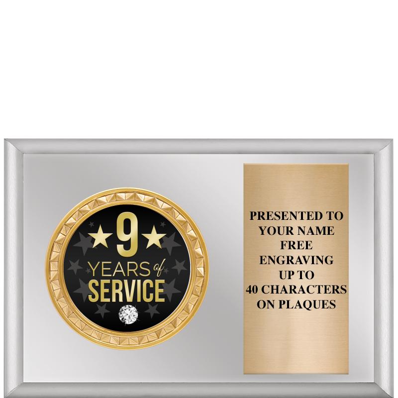 6" X 4" SILVER INSERT PLQ