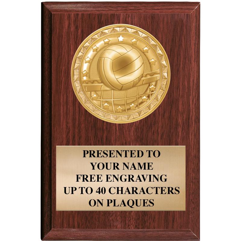 4" X 6" WOOD INSERT PLQ