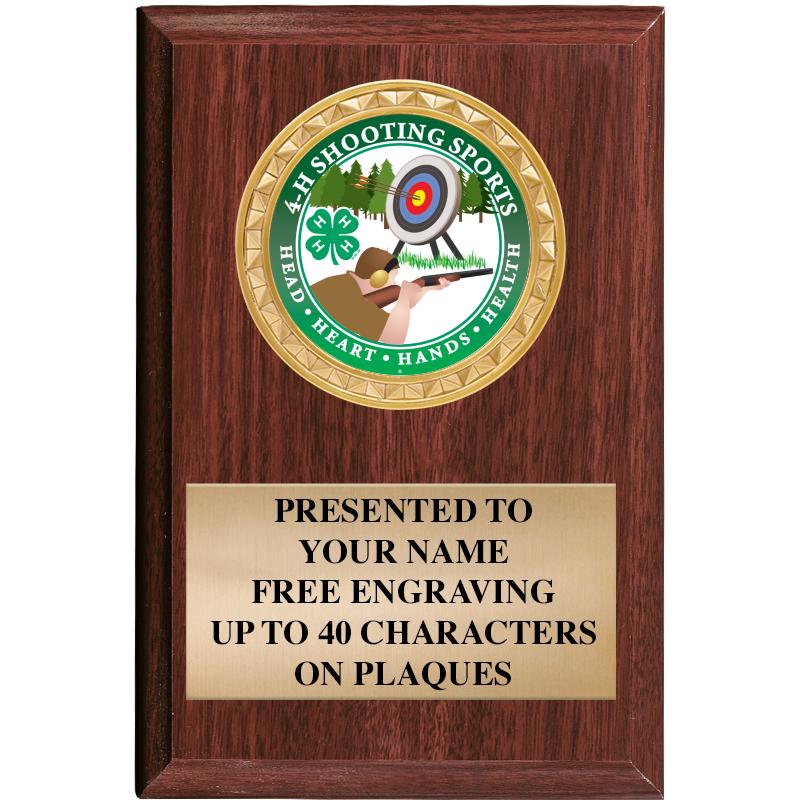 4" X 6" WOOD INSERT PLQ