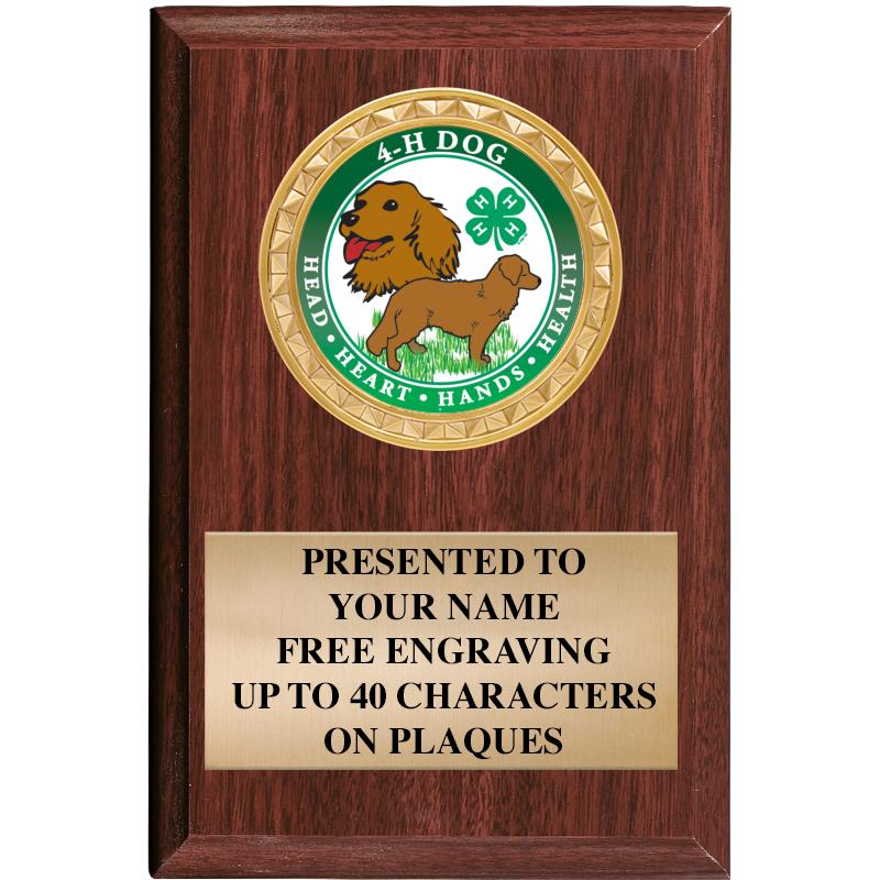 4" X 6" WOOD INSERT PLQ