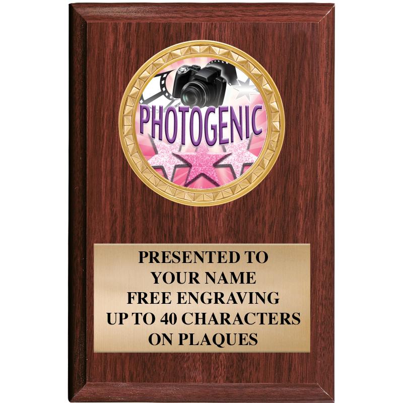 4" X 6" WOOD INSERT PLQ