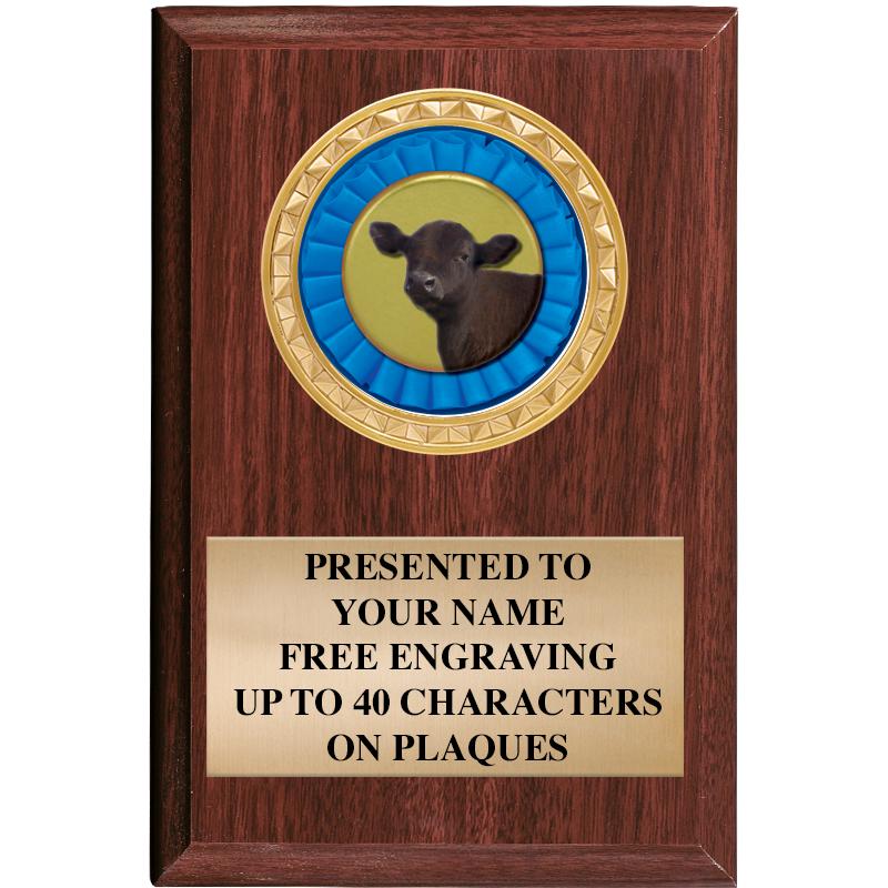 4" X 6" WOOD INSERT PLQ