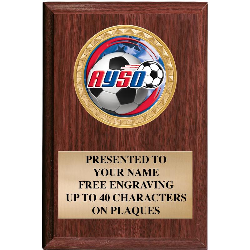 4" X 6" WOOD INSERT PLQ