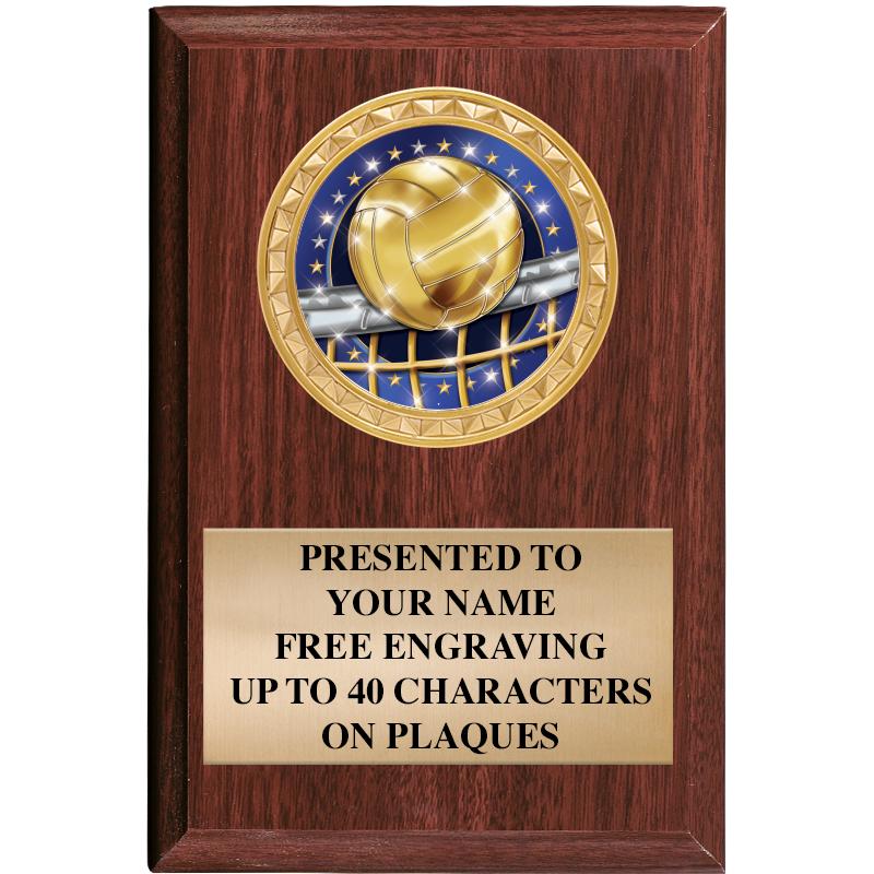 4" X 6" WOOD INSERT PLQ