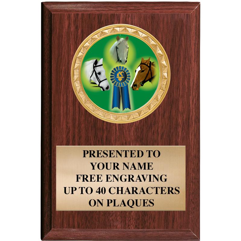 4" X 6" WOOD INSERT PLQ