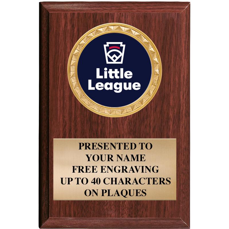 4" X 6" WOOD INSERT PLQ