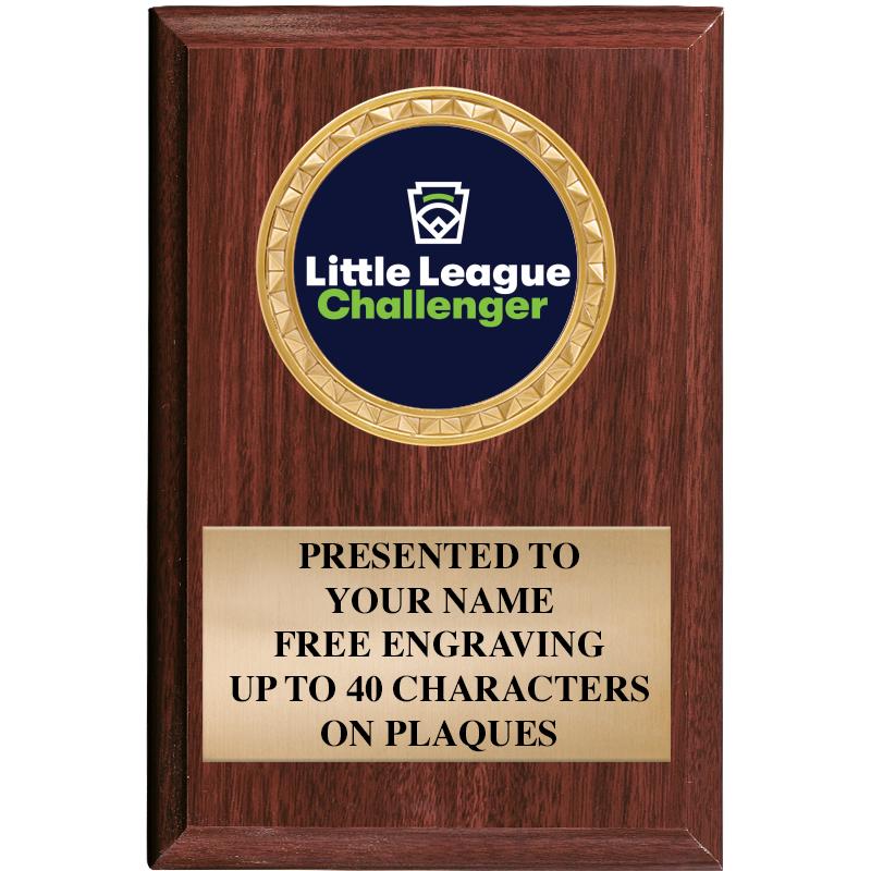 4" X 6" WOOD INSERT PLQ