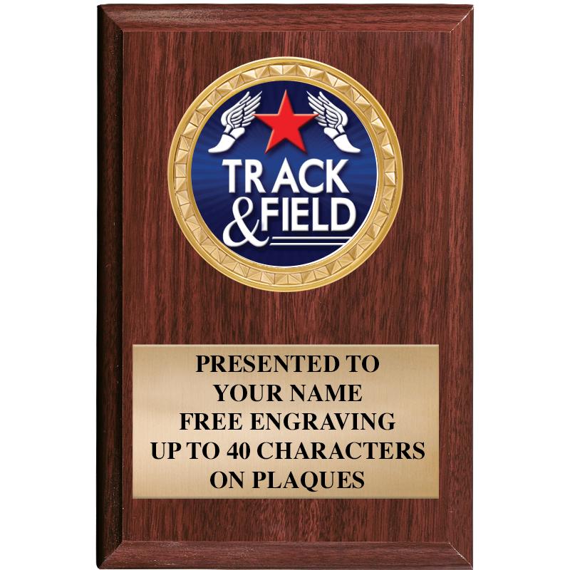 4" X 6" WOOD INSERT PLQ