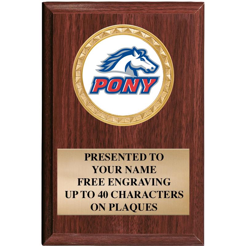 4" X 6" WOOD INSERT PLQ