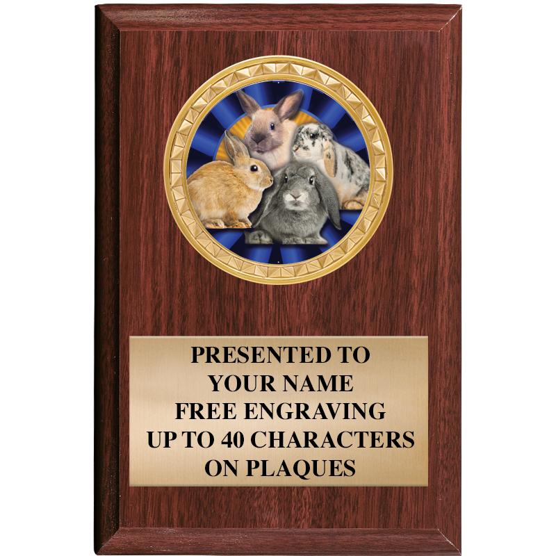 4" X 6" WOOD INSERT PLQ