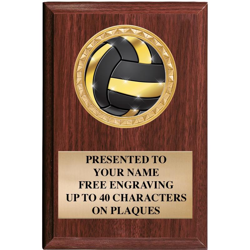 4" X 6" WOOD INSERT PLQ