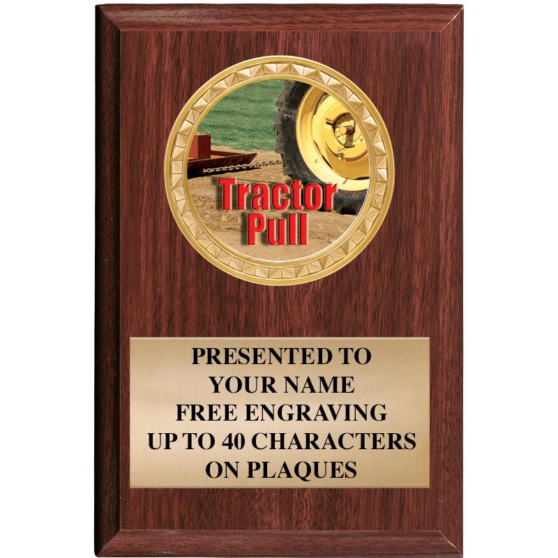 4" X 6" WOOD INSERT PLQ