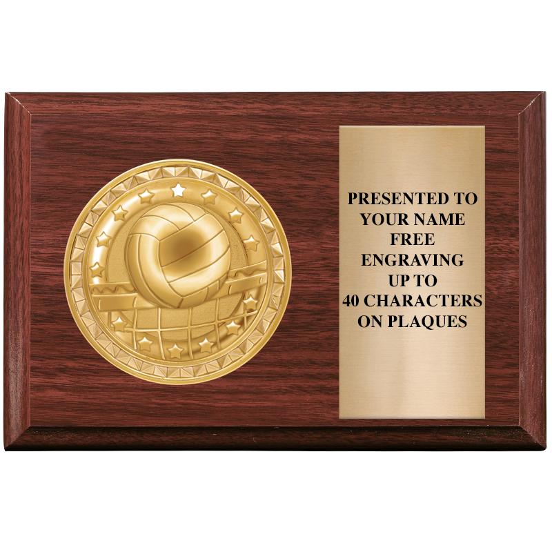 6" X 4" WOOD INSERT PLQ