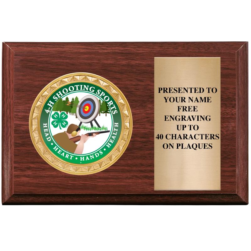 6" X 4" WOOD INSERT PLQ