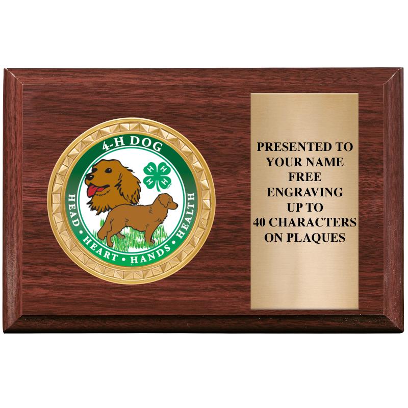 6" X 4" WOOD INSERT PLQ