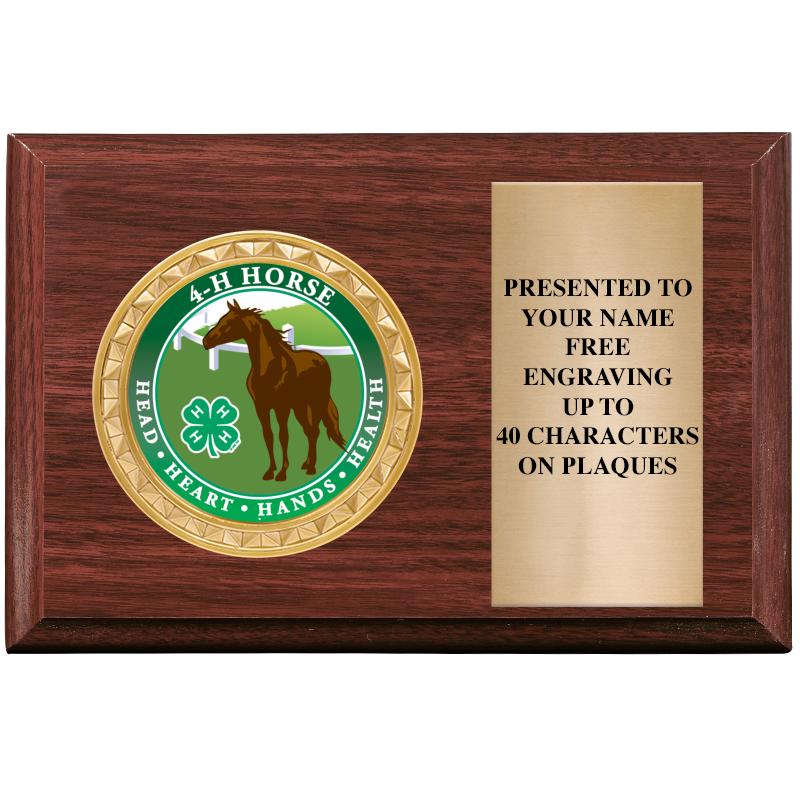 6" X 4" WOOD INSERT PLQ